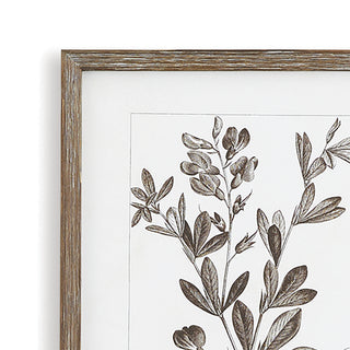 RUSTIC FOLIAGE STUDY, SET OF 9
