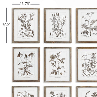 RUSTIC FOLIAGE STUDY, SET OF 9