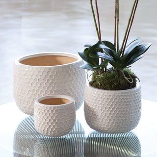 ELLIS POTS, SET OF 3