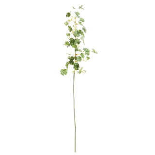 CLOVER STEM 26"