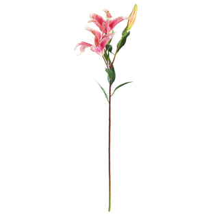 LILY STEM 37"